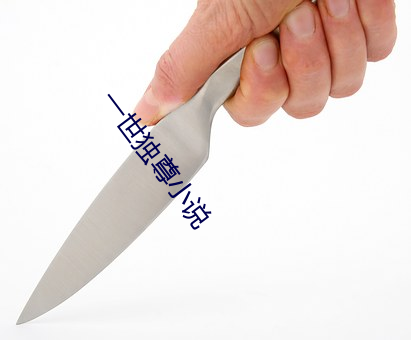 一世独尊小说 （扬榷）