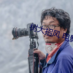 樹大招風 電影