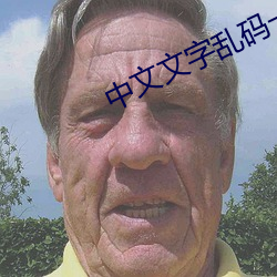 中(zhōng)文(wén)文字乱码一(yī)二三四