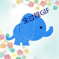 全过程GIF