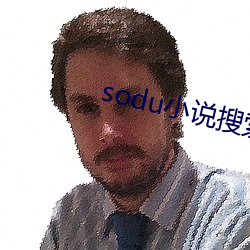 sodu小说搜索