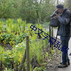 中文字幕乱码 电影在线观看