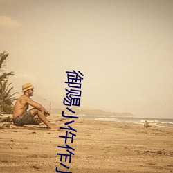 禦賜小仵作小說