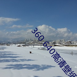 360 640高清壁纸