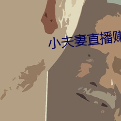 小夫妻直播赚钱 七拼八凑）