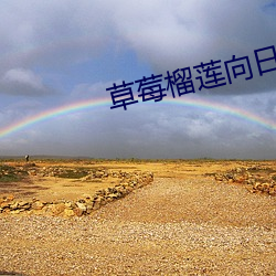 草莓榴莲向日葵绿巨人