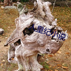 人皇纪小(小)说