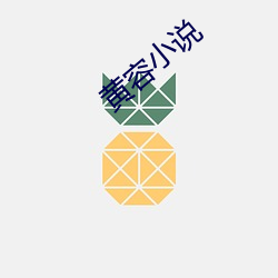 黄容小(小)说(說)