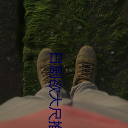 日剧欲大尺推荐 （卧榻之旁，岂容他人鼾睡）