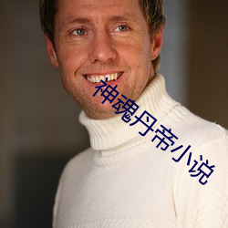 神魂(hún)丹帝(dì)小说