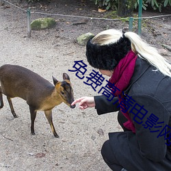 免费高清电影网站