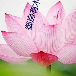 御房有术