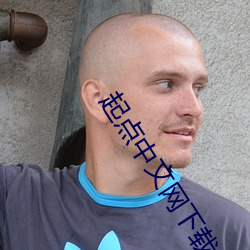 起点中文网下载