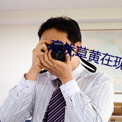 忘忧(憂)草黄在现(現)观(觀)看(看)