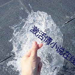 金年会(中国)官方网站