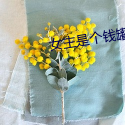 九游会登录j9入口 - 中国官方网站 | 真人游戏第一品牌