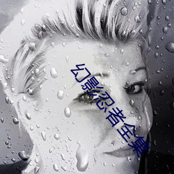 幻影忍者全集