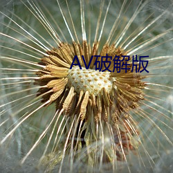 AV破解版(bn)