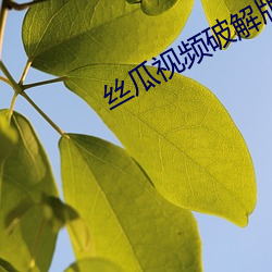 九游会登录j9入口 - 中国官方网站 | 真人游戏第一品牌