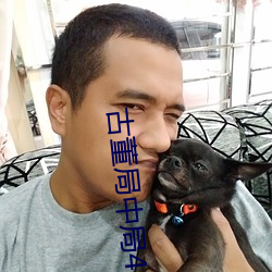 古董局中局4