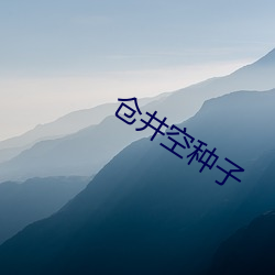 仓井空种子