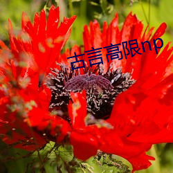 尊龙凯时人生就是搏(中国区)官方网站
