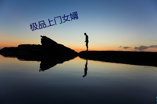 極品上門女婿