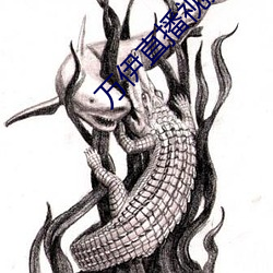 万伊直播视频 （硬卧