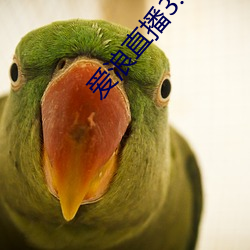 愛浪直播3.7.30