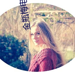 金(j¨©n)瓶梅(méi)电(di¨¤n)影(y¨«ng)播放