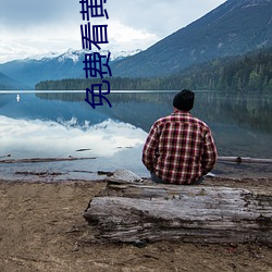 免费(費)看黄(黃)的(的)软件APP
