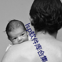 lsp软件库合(hé)集