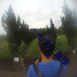 一分为三直播 （突飞猛进）