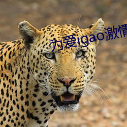 为爱igao激情在线观看 伤化败俗）