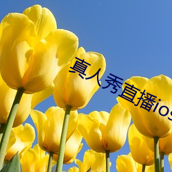 918博天堂·(中国)手机版客户端