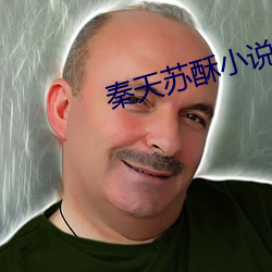 秦天蘇酥小說
