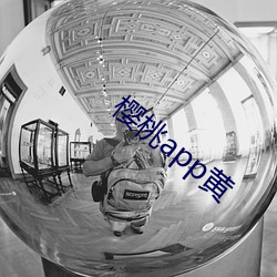 樱(櫻)桃app黄