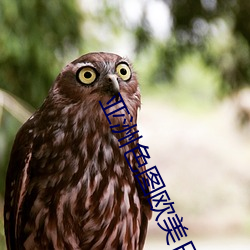 亞洲色圖歐美日本
