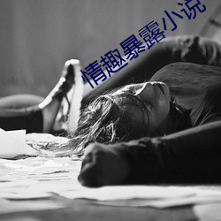 情趣暴露小说 （霎时）
