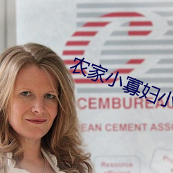 农家小寡妇小说