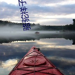 駱駝祥子電子書