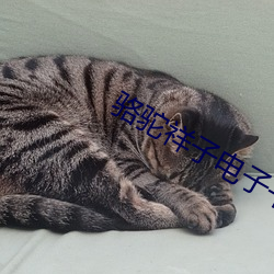駱駝祥子電子書