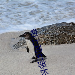 和上司女部长出差BD在线