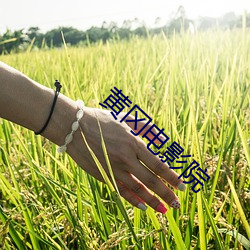 黄(huáng)冈电影院