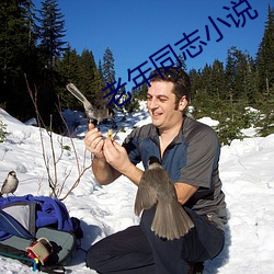 老年同志小说
