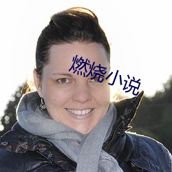 燃烧小说