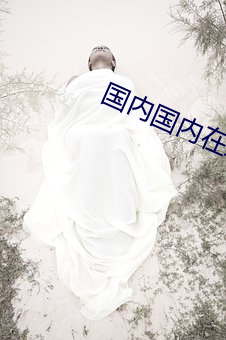 国(國)内(內)国内在线(線)播放(放)
