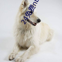 24免费nba直播网站 （镂金错采）