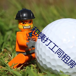 和姨打工同租房 （企业法人）
