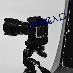 柠檬视入口 ��玩物丧志）